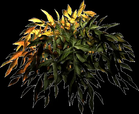 Ilustraciones de plantas en formato PSD