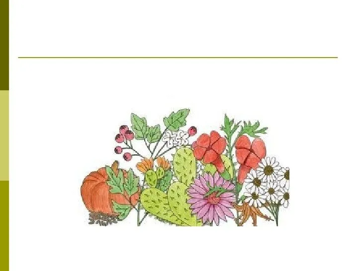 Plantas terrestres y acuáticas