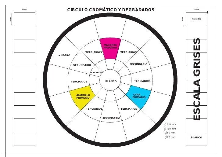 Plantilla círculo cromatico