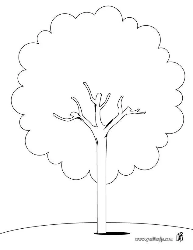 Dibujos para colorear un árbol castaño - es.hellokids.com Dibujos para colorear un árbol castaño - es.hellokids.com