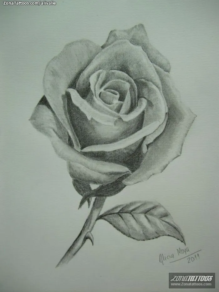 Plantilla/Diseño Tatuaje de Alivalle - Rosas Flores Plantilla/Diseño Tatuaje de Alivalle - Rosas Flores