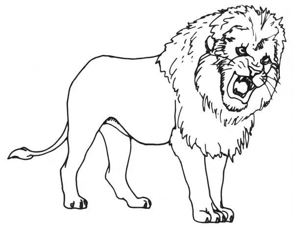Plantillas con dibujos de animales salvajes para colorear ... Plantillas con dibujos de animales salvajes para colorear ...