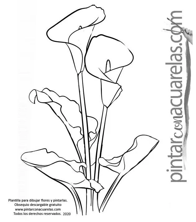▷Plantillas con dibujos de Flores para imprimir - ▷Plantillas con dibujos de Flores para imprimir -
