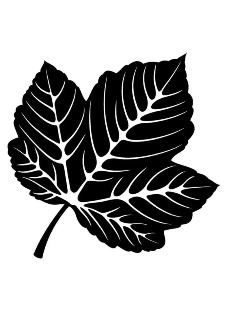 Plantillas de Hojas - Imágenes para descargar e imprimir gratis Plantillas de Hojas - Imágenes para descargar e imprimir gratis
