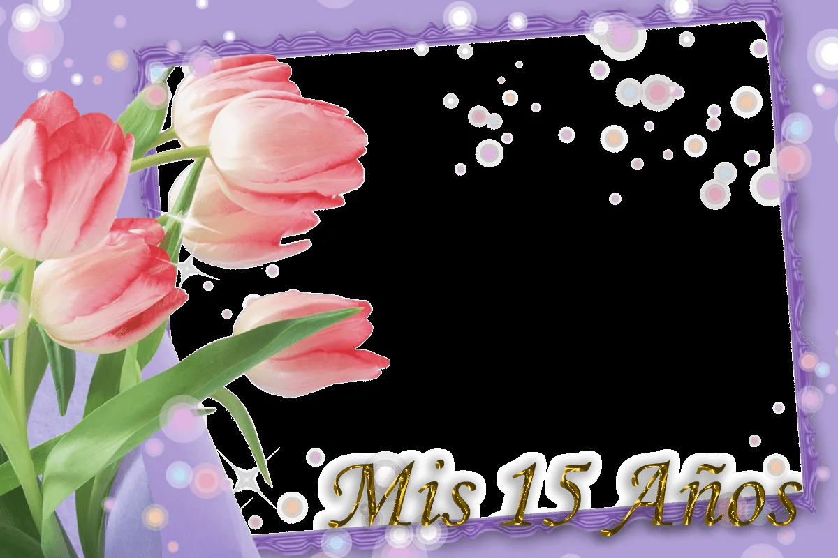 Plantillas para invitaciónes de 15 años - Imagui Plantillas para invitaciónes de 15 años - Imagui