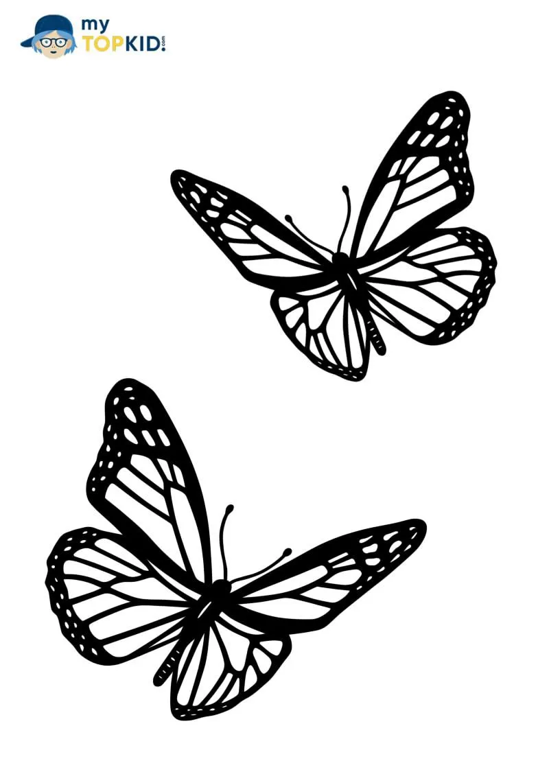Plantillas de Mariposa para Imprimir