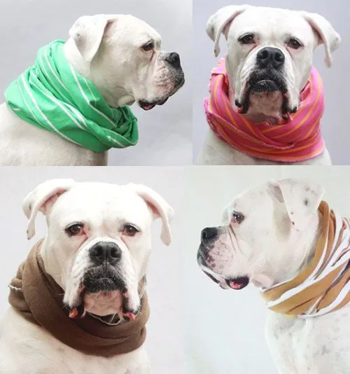Plantillas y Patrones de Ropa para Mascotas.Perros/Gatos - enrHedando Plantillas y Patrones de Ropa para Mascotas.Perros/Gatos - enrHedando