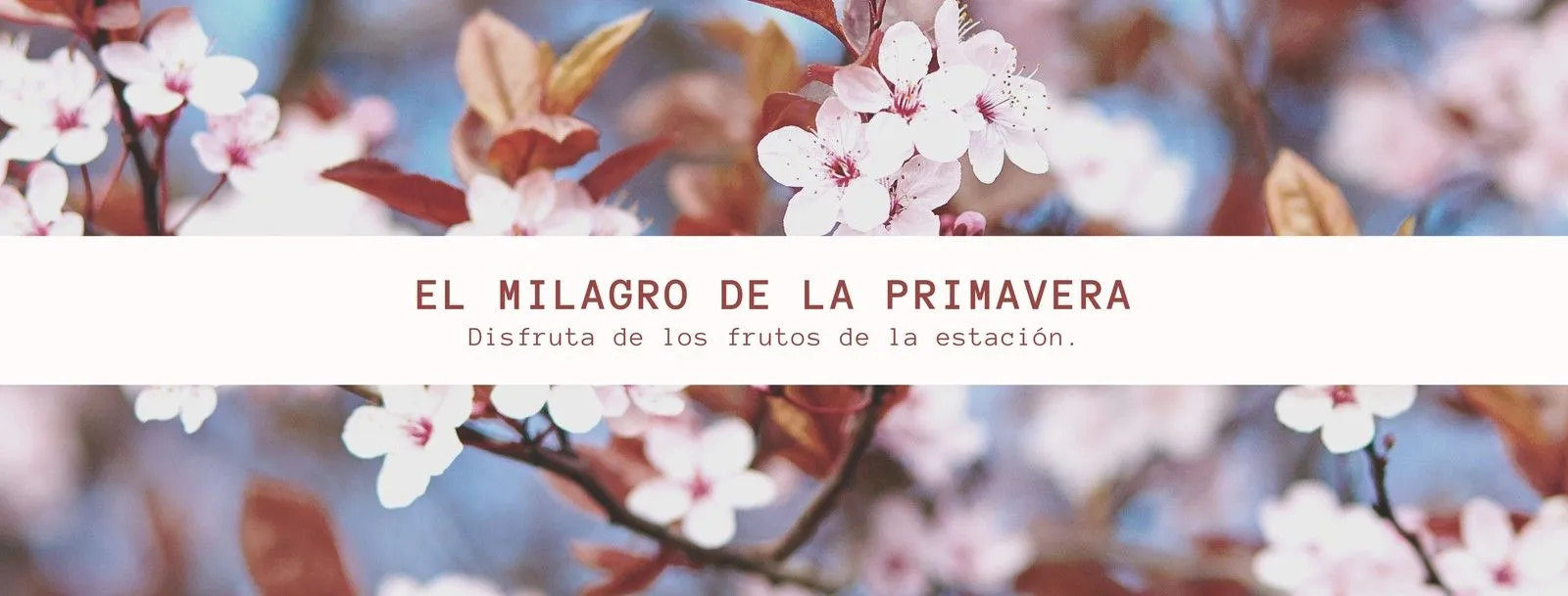 Plantillas para la portada de Facebook editables | Canva Plantillas para la portada de Facebook editables | Canva