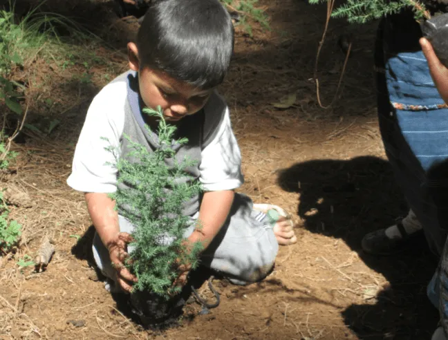 Planting trees/Sembrando arboles | Xnaq'tz Nab'l Qchman