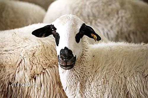 PLÁSTICA EN EL VALLE: Repaso para Septiembre II