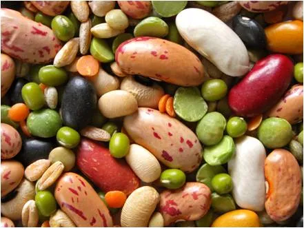 El plato del buen comer 4ª parte | Clinica Cosmedika El plato del buen comer 4ª parte | Clinica Cosmedika