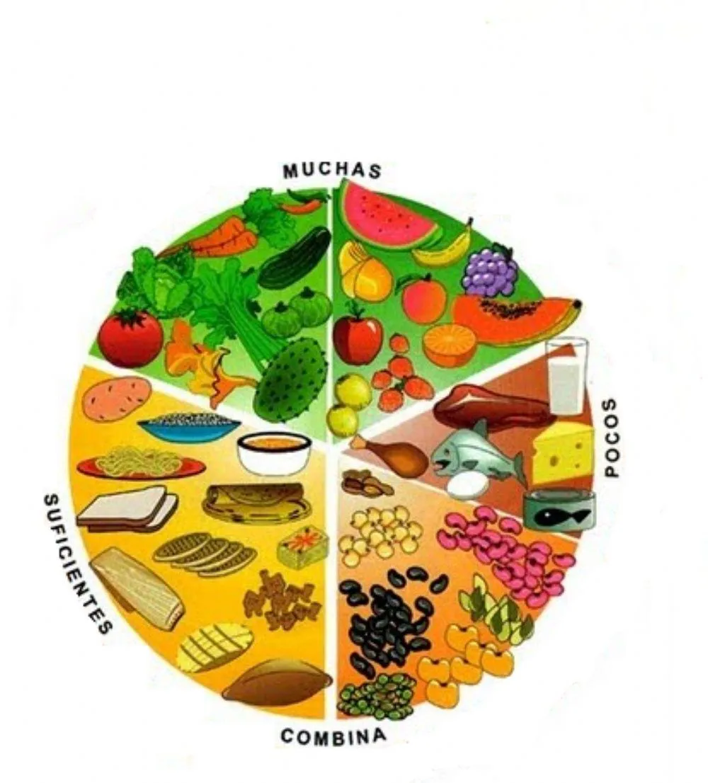 El plato del buen comer activity | Live Worksheets El plato del buen comer activity | Live Worksheets