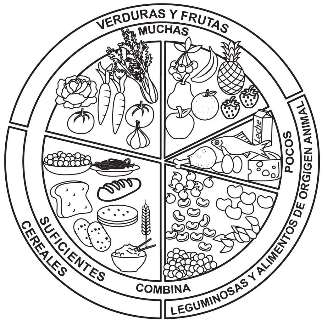 Plato Del Bien Comer Para Colorear 6EF | Plato del buen comer didactico, Plato del buen comer, Plato del bien comer Plato Del Bien Comer Para Colorear 6EF | Plato del buen comer didactico, Plato del buen comer, Plato del bien comer