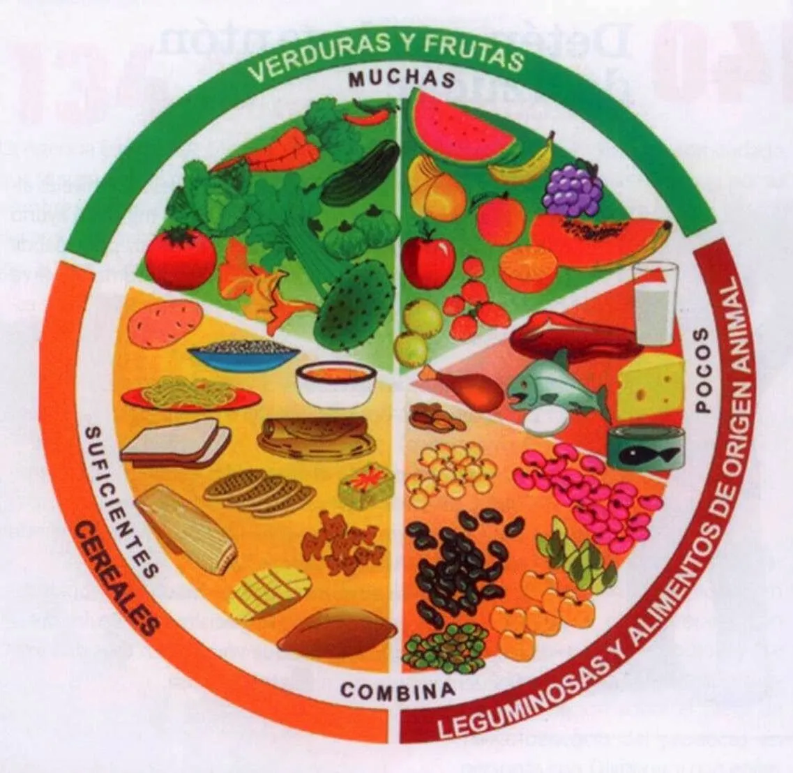 Imagenes del plato del buen comer en grande - Imagui