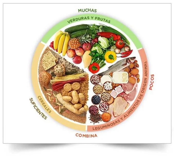 El plato del buen comer en el día a día.