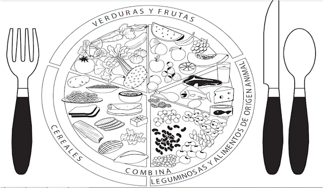 Dibujos para colorear del plato del buen comer para niños - Imagui