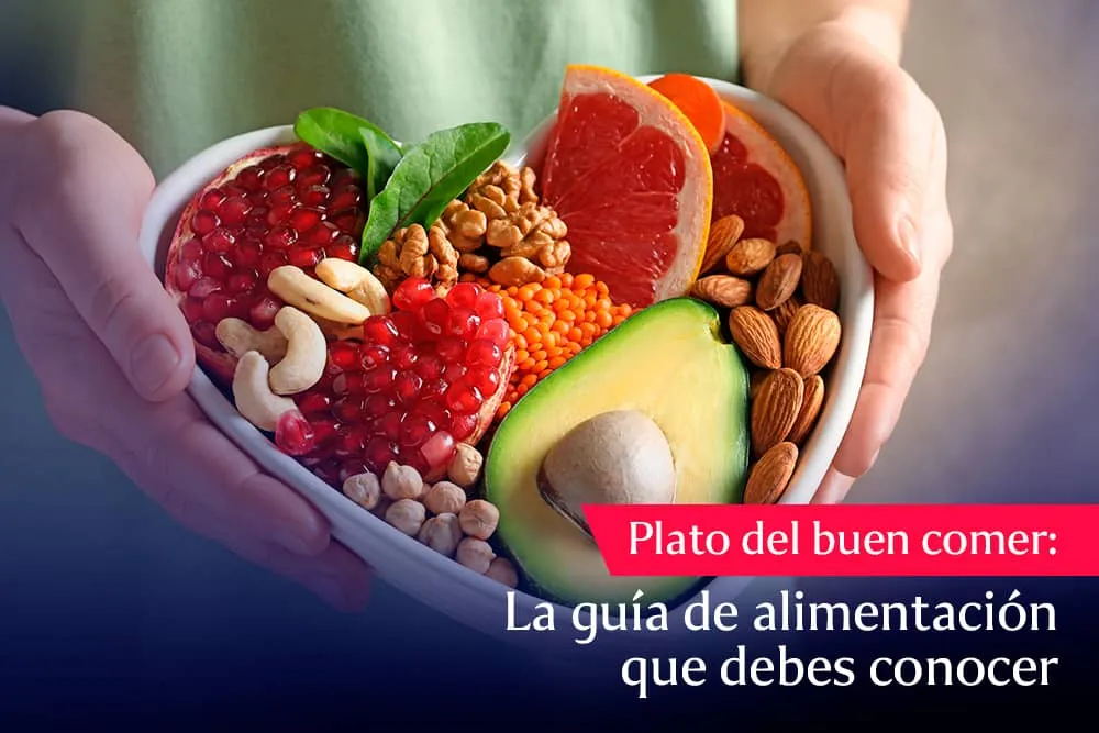 El plato del buen comer: La guía de alimentación que debes conocer | Aprende.com El plato del buen comer: La guía de alimentación que debes conocer | Aprende.com