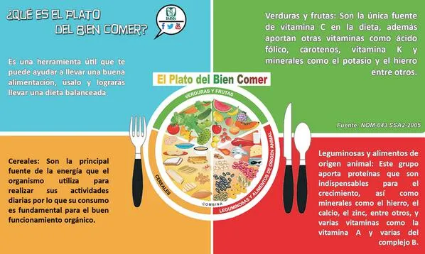 IMSS on Twitter: "El plato del bien comer es una herramienta útil ... IMSS on Twitter: "El plato del bien comer es una herramienta útil ...