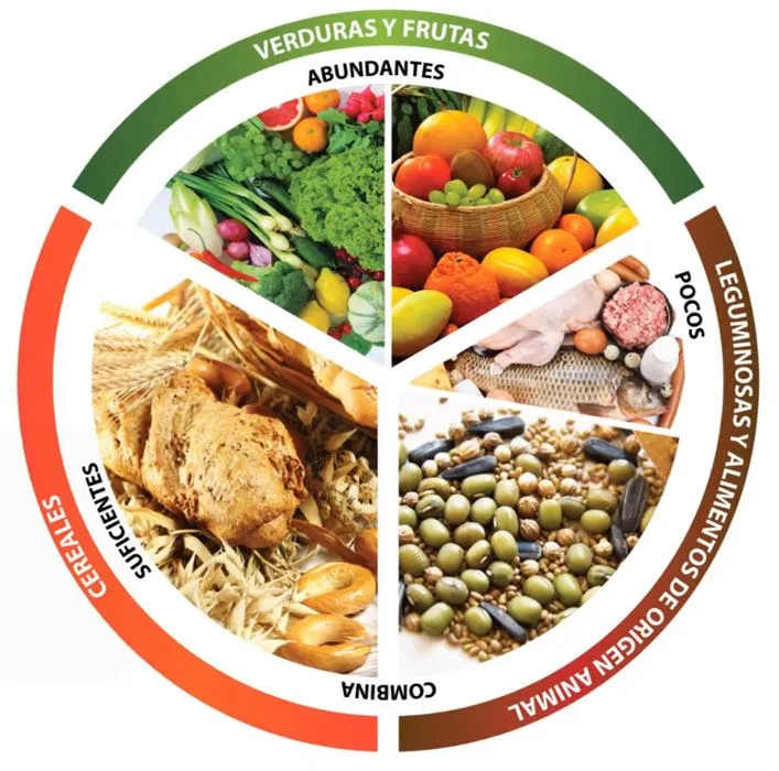 Plato del buen comer: Información de qué es y para qué sirve Plato del buen comer: Información de qué es y para qué sirve
