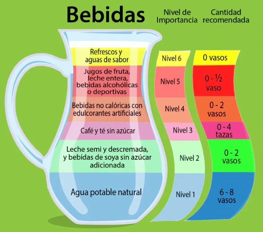 El plato del bien comer y de la jarra del bien beber - Nueva Escuela  Mexicana