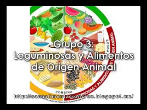 El Plato del Buen Comer y la Jarra del Buen Beber - YouTube El Plato del Buen Comer y la Jarra del Buen Beber - YouTube