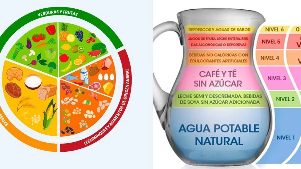 Plato del Buen Comer y Jarra del Buen Beber - YouTube Plato del Buen Comer y Jarra del Buen Beber - YouTube