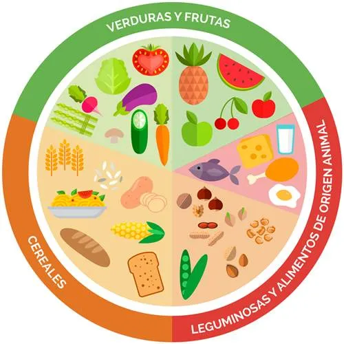El plato del buen comer para niños- TodoPapás El plato del buen comer para niños- TodoPapás