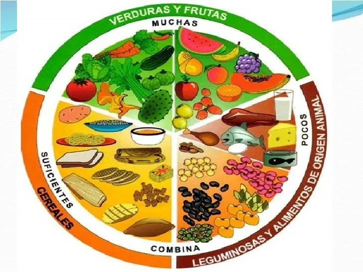El plato del buen comer con los nombres de los alimentos - Imagui El plato del buen comer con los nombres de los alimentos - Imagui
