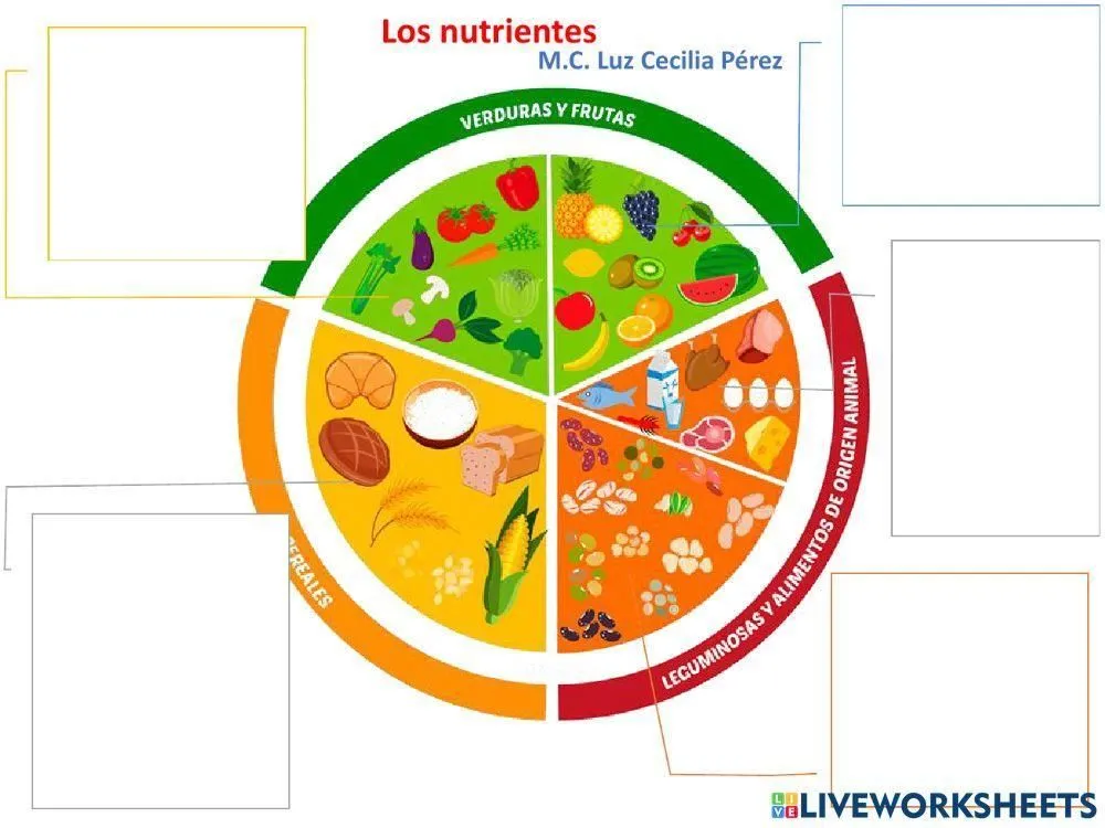 Plato del buen comer online activity for Secundaria | Live Worksheets Plato del buen comer online activity for Secundaria | Live Worksheets