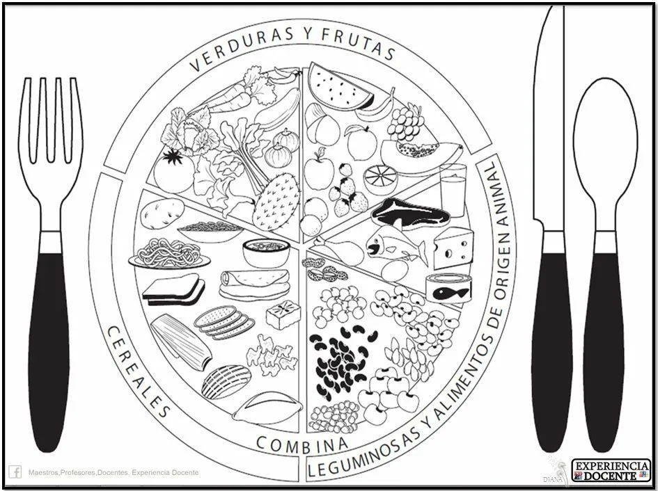 Plato del buen comer | Plato del buen comer, Plato del buen comer didactico, Plato del bien comer Plato del buen comer | Plato del buen comer, Plato del buen comer didactico, Plato del bien comer