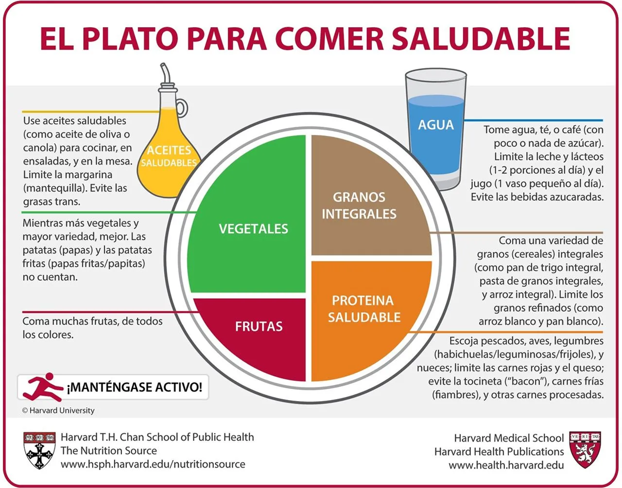 El plato para comer saludable (el plato Harvard), la mejor guía de alimentación hasta el momento | Gastronomía & Cía El plato para comer saludable (el plato Harvard), la mejor guía de alimentación hasta el momento | Gastronomía & Cía