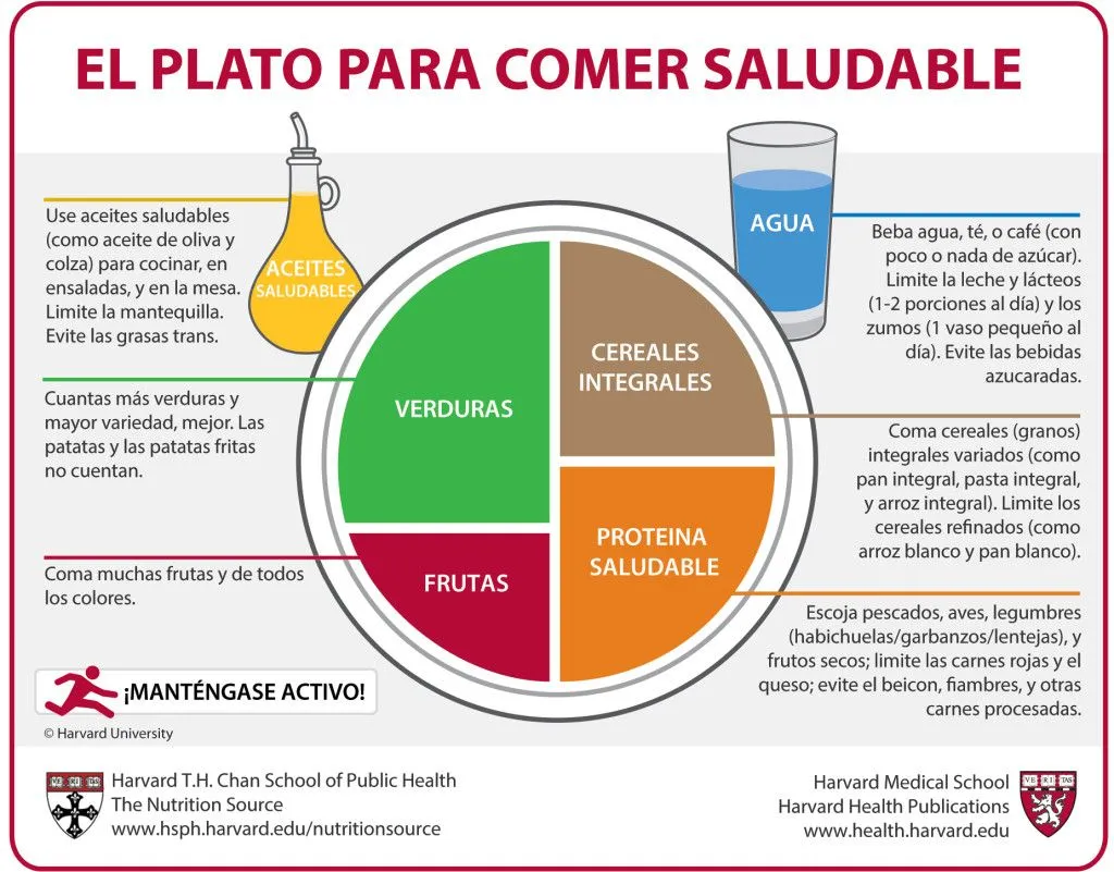 El plato para comer saludable, el menú balanceado del día a día – EL PRINCIPAL El plato para comer saludable, el menú balanceado del día a día – EL PRINCIPAL