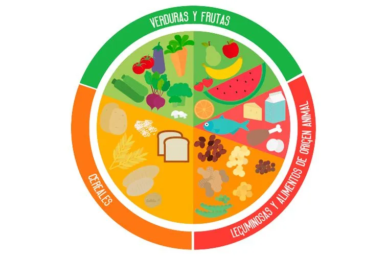 El Plato del Bien Comer | Servicio de Información Agroalimentaria y Pesquera | Gobierno | gob.mx El Plato del Bien Comer | Servicio de Información Agroalimentaria y Pesquera | Gobierno | gob.mx