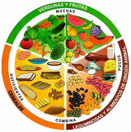 Plato del Buen Comer | La SÚPER Guía de la Alimentación Sana