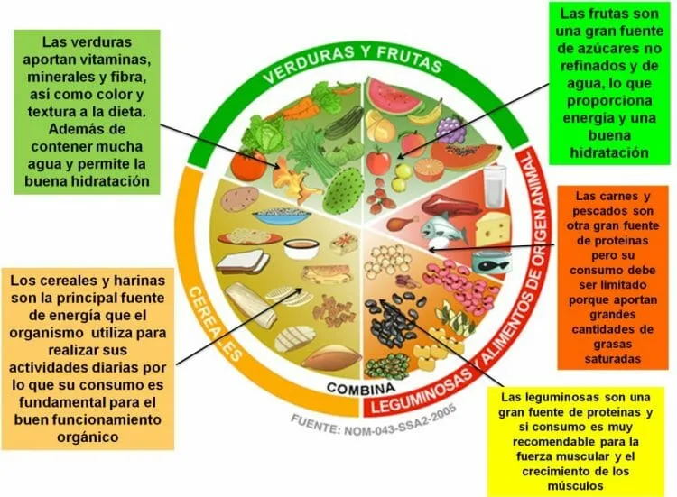 Plato del Buen Comer | La SÚPER Guía de la Alimentación Sana Plato del Buen Comer | La SÚPER Guía de la Alimentación Sana
