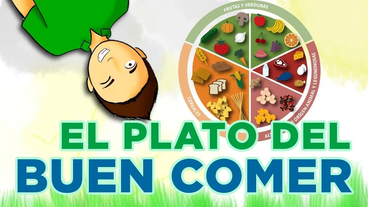 EL PLATO DEL BUEN COMER | para todos - YouTube EL PLATO DEL BUEN COMER | para todos - YouTube