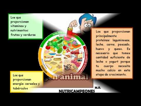El plato del bien comer video - Youtube Downloader mp3 El plato del bien comer video - Youtube Downloader mp3