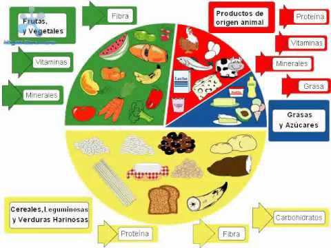el plato del bien comer - Youtube Downloader mp3 el plato del bien comer - Youtube Downloader mp3