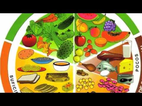 Plato del buen comer - Youtube Downloader mp3 Plato del buen comer - Youtube Downloader mp3