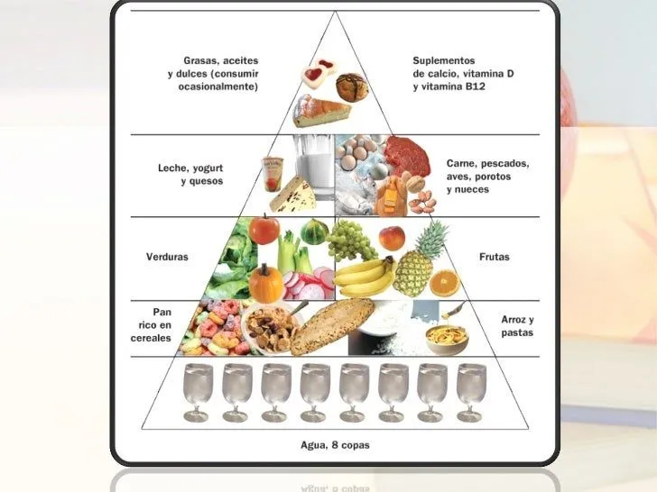 plato-del-bien-comer-2-728.jpg ...
