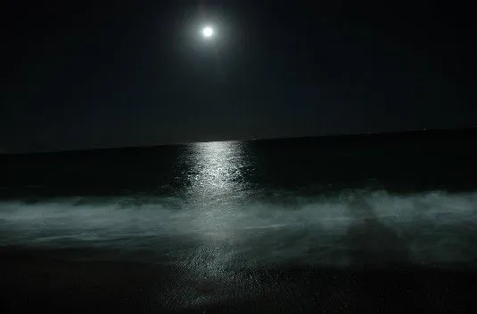 Playa de noche con luna - Imagui