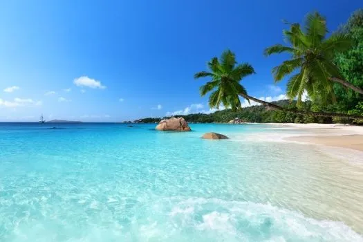 Playa_caribe_muralesyvinilos_ ...