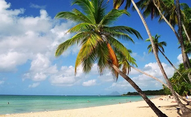 playas-de-martinica-en-el- ...