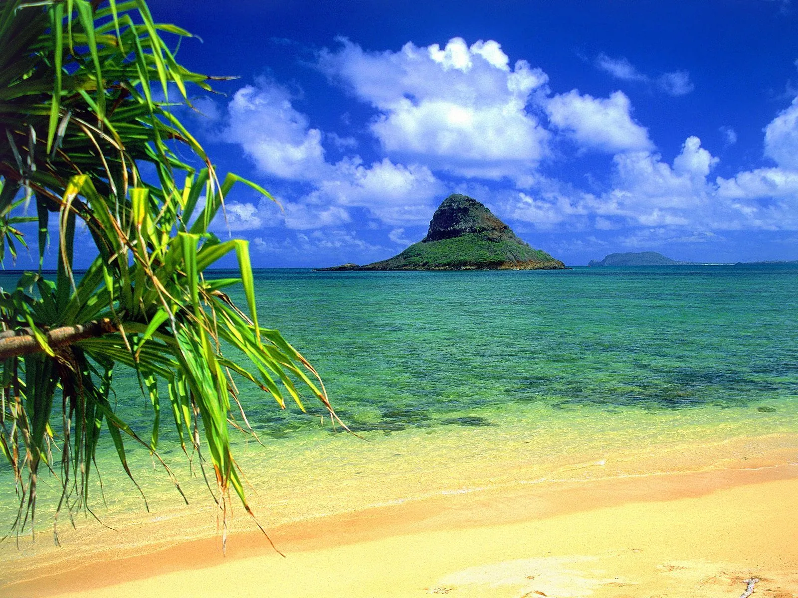 Playas paradisiacas parte II (22 paraísos naturales) | Banco de ... Playas paradisiacas parte II (22 paraísos naturales) | Banco de ...