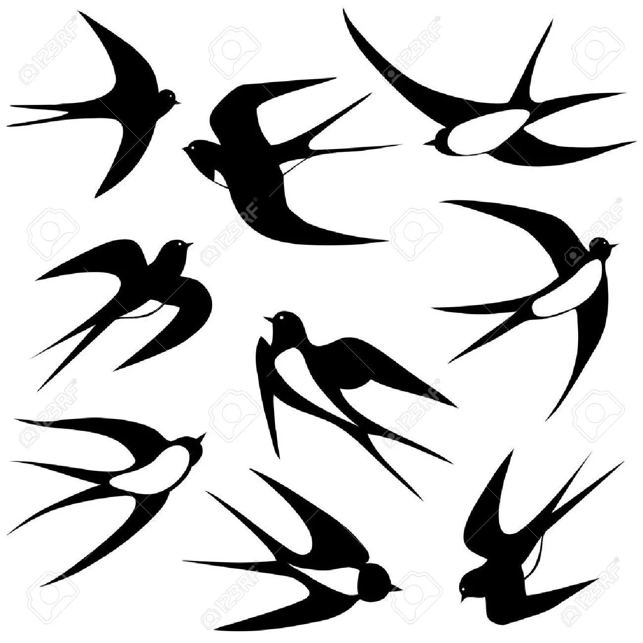 Pluma Ave Imágenes De Archivo, Vectores, Pluma Ave Fotos Libres De ...