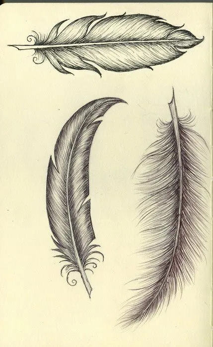 Plumas | Dibujos a lapiz | Pinterest