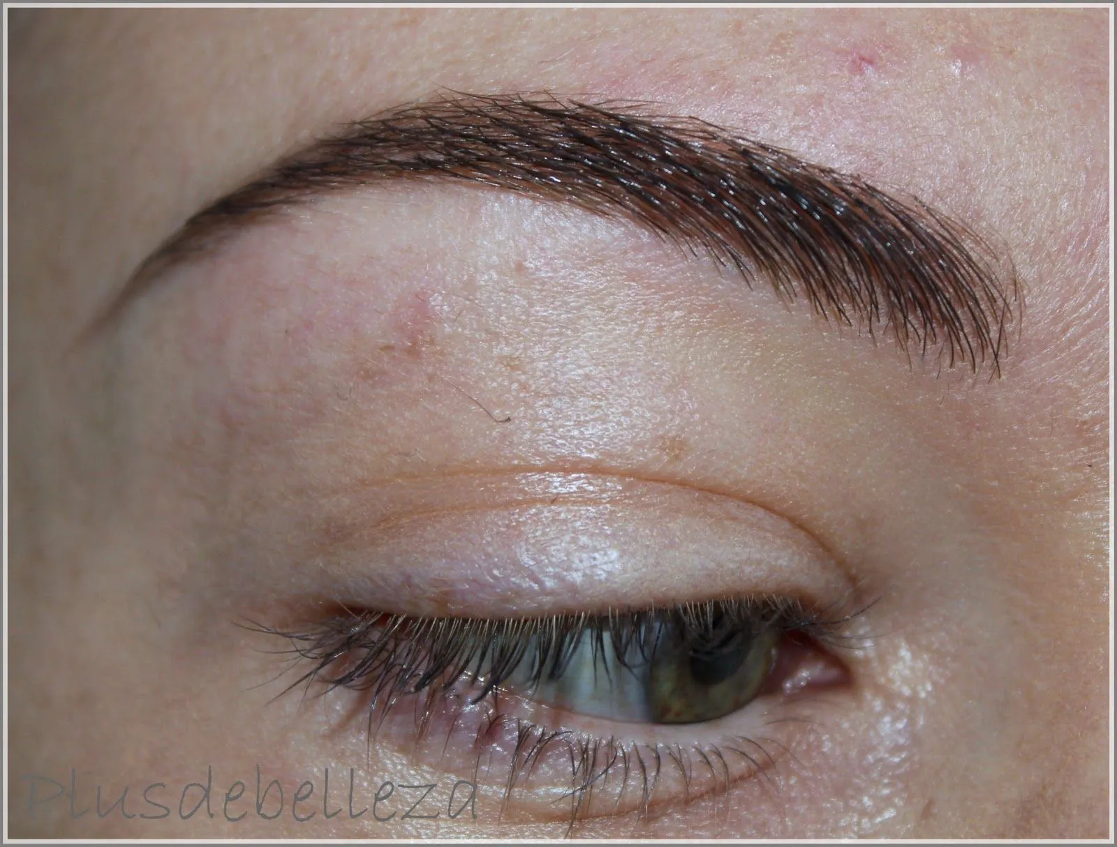 Plus de Belleza: Cómo Depilar tus Cejas Correctamente Plus de Belleza: Cómo Depilar tus Cejas Correctamente