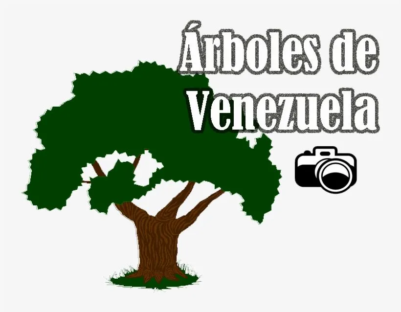 Png Araguaney Logos Para Arboles Png Png Araguaney PNG Image | Transparent PNG Free Download on SeekPNG Png Araguaney Logos Para Arboles Png Png Araguaney PNG Image | Transparent PNG Free Download on SeekPNG