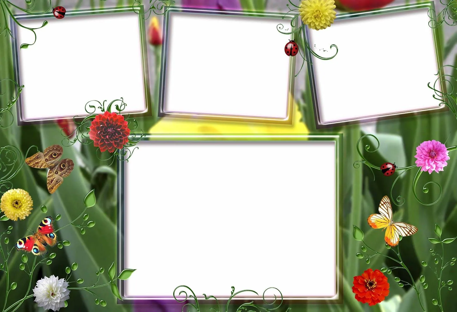 PNG Frame-7891 | png frame PNG Frame-7891 | png frame
