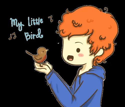 Png's e Imagens: Ed Sheeran